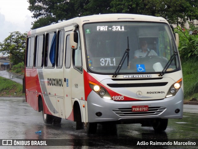 Rouxinol 1605 na cidade de Belo Horizonte, Minas Gerais, Brasil, por Adão Raimundo Marcelino. Número da foto: #8512059.