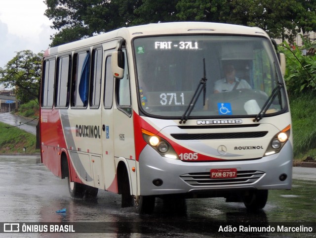 Rouxinol 1605 na cidade de Belo Horizonte, Minas Gerais, Brasil, por Adão Raimundo Marcelino. ID da foto: 8512059.