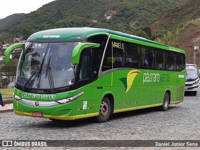 Pássaro Verde 19156 na cidade de Ouro Preto, Minas Gerais, Brasil, por Daniel Junior Sena. Número da foto: #8540388.