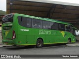 Pássaro Verde 19156 na cidade de Coimbra, Minas Gerais, Brasil, por Christian  Fortunato. Número da foto: #:id.