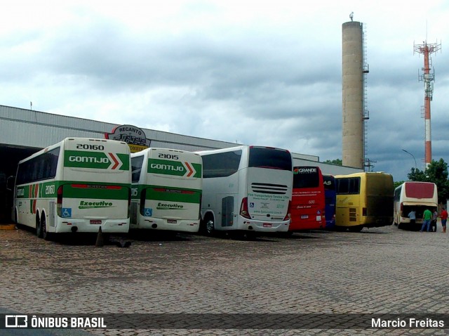 Empresa Gontijo de Transportes 20160 na cidade de Ribeirão Preto, São Paulo, Brasil, por Marcio Freitas. Número da foto: #8543536.
