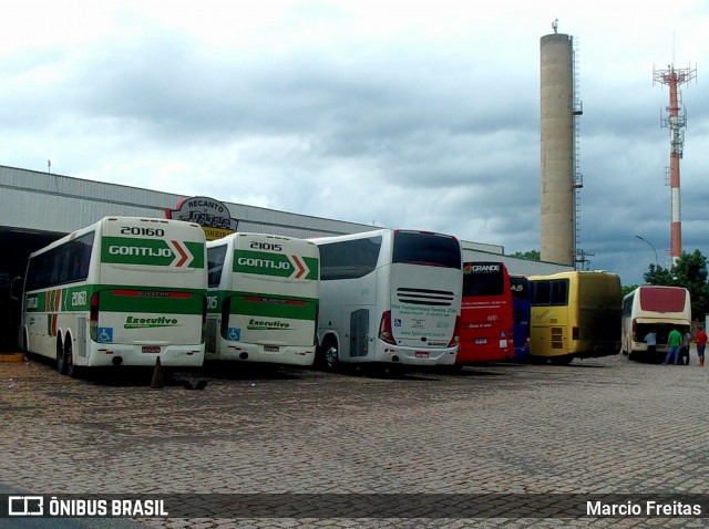 Empresa Gontijo de Transportes 20160 na cidade de Ribeirão Preto, São Paulo, Brasil, por Marcio Freitas. ID da foto: 8543536.