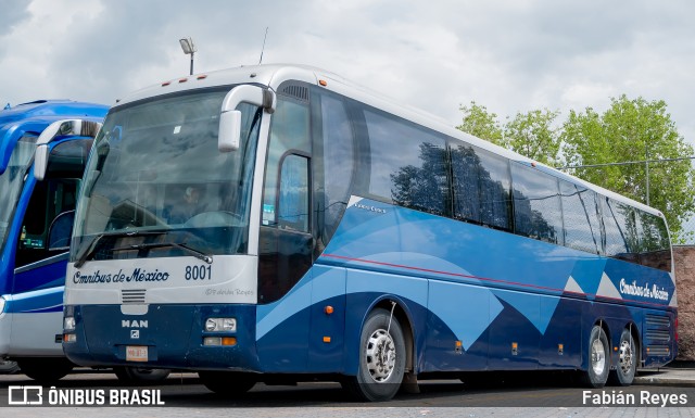 ODM - Ómnibus de México 8001 na cidade de Morelia, Michoacán, México, por Fabián Reyes. Número da foto: #8550662.