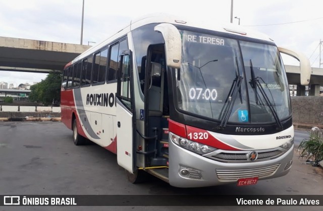 Rouxinol 1320 na cidade de Belo Horizonte, Minas Gerais, Brasil, por Vicente de Paulo Alves. ID da foto: 8552795.