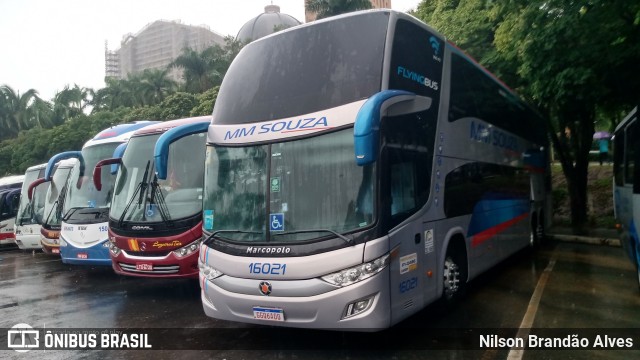 Auto Viação MM Souza Turismo 16021 na cidade de Aparecida, São Paulo, Brasil, por Nilson Brandão Alves. Número da foto: #8559985.