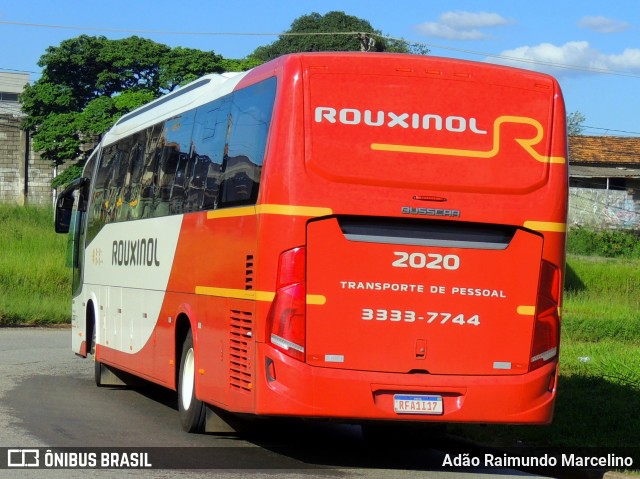 Rouxinol 2020 na cidade de Belo Horizonte, Minas Gerais, Brasil, por Adão Raimundo Marcelino. ID da foto: 8569096.