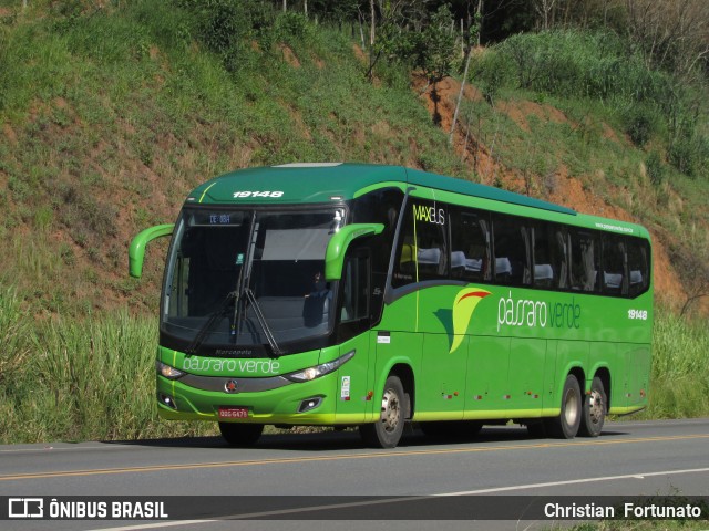 Pássaro Verde 19148 na cidade de Coimbra, Minas Gerais, Brasil, por Christian  Fortunato. Número da foto: #8571010.