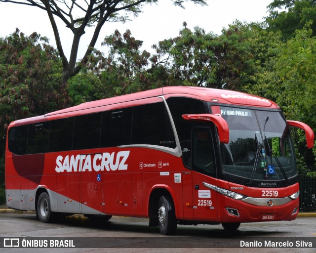 Viação Santa Cruz 22519 na cidade de São Paulo, São Paulo, Brasil, por Danilo Marcelo Silva. Número da foto: #8571161.