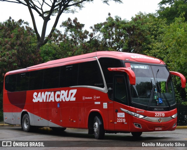 Viação Santa Cruz 22519 na cidade de São Paulo, São Paulo, Brasil, por Danilo Marcelo Silva. ID da foto: 8571161.