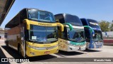 Viação Itapemirim 17005 na cidade de Rio de Janeiro, Rio de Janeiro, Brasil, por Marcelo Horta. Número da foto: #8570615.