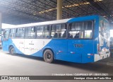 VB Transportes e Turismo 1100 na cidade de Campinas, São Paulo, Brasil, por Henrique Alves de Paula Silva. Número da foto: #:id.