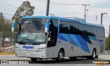 Pegasso 5015 na cidade de Querétaro, Querétaro, México, por Fabián Reyes. Número da foto: #8574585.