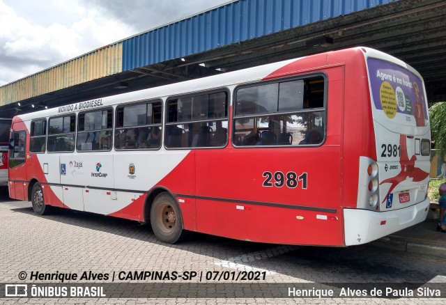 Itajaí Transportes Coletivos 2981 na cidade de Campinas, São Paulo, Brasil, por Henrique Alves de Paula Silva. Número da foto: #8577931.