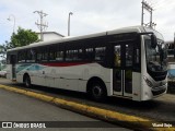 Autobuses sin identificación - El Salvador  na cidade de Limón, Limón, Limón, Costa Rica, por Yliand Sojo. ID da foto: :id.