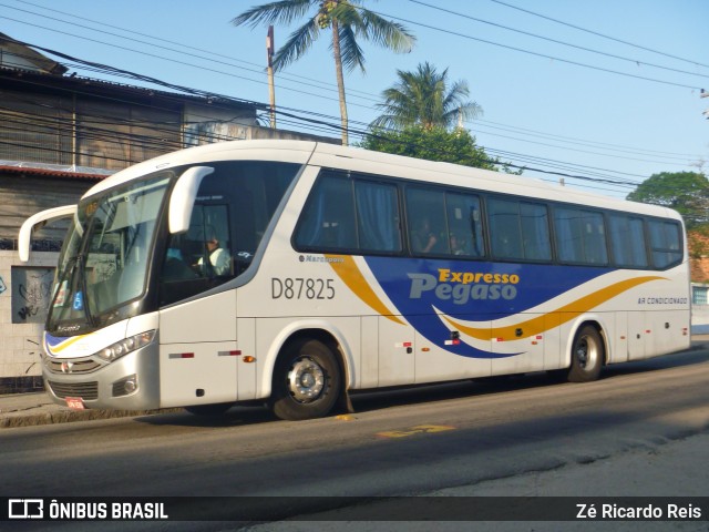 Expresso Pégaso D87825 na cidade de Rio de Janeiro, Rio de Janeiro, Brasil, por Zé Ricardo Reis. ID da foto: 8581422.