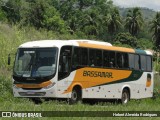 Viação Bassamar 123 na cidade de Leopoldina, Minas Gerais, Brasil, por Hebert Almeida Rodrigues . Número da foto: #8585916.
