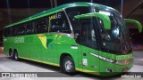 Pássaro Verde 19150 na cidade de São Carlos, São Paulo, Brasil, por Jefferson Luiz. Número da foto: #8584308.