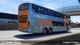 Pássaro Azul 2200 na cidade de São Paulo, São Paulo, Brasil, por Vanderci Valentim. Número da foto: #:id.