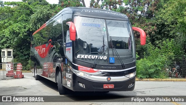 Empresa de Ônibus Pássaro Marron 8802 na cidade de São Paulo, São Paulo, Brasil, por Felipe Vitor Paixão Vieira. ID da foto: 8594207.