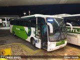 Pássaro Verde 29017 na cidade de João Monlevade, Minas Gerais, Brasil, por Adriano  Almeida. Número da foto: #8599606.
