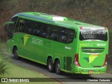 Pássaro Verde 19147 na cidade de Coimbra, Minas Gerais, Brasil, por Christian  Fortunato. Número da foto: #:id.