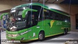Pássaro Verde 19149 na cidade de São Carlos, São Paulo, Brasil, por Jefferson Luiz. Número da foto: #8601054.