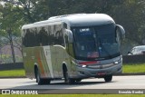 Empresa de Ônibus Pássaro Marron 91.008 na cidade de Caçapava, São Paulo, Brasil, por Everaldo Bordini. Número da foto: #:id.
