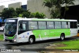 Viação Garcia 81026 na cidade de Apucarana, Paraná, Brasil, por Pedroka Ternoski. Número da foto: #8602349.