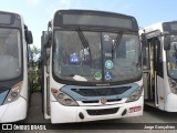 Transportes Futuro C30163 na cidade de Rio de Janeiro, Rio de Janeiro, Brasil, por Jorge Gonçalves. Número da foto: #8602340.