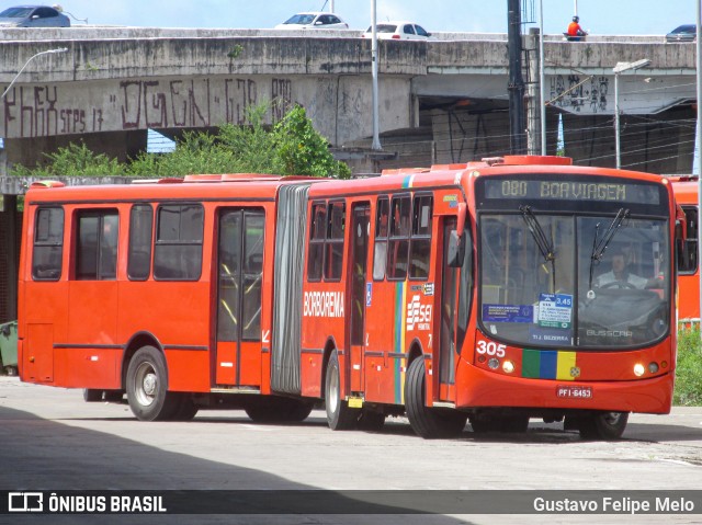 Borborema Imperial Transportes 305 na cidade de Recife, Pernambuco, Brasil, por Gustavo Felipe Melo. ID da foto: 8517377.