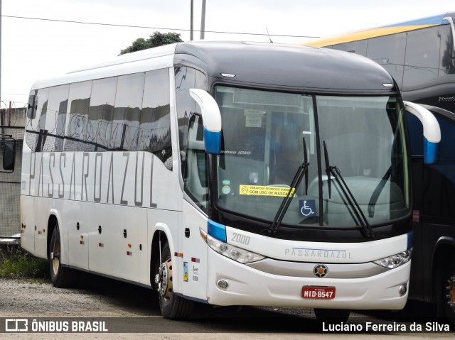 Pássaro Azul 2000 na cidade de São Paulo, São Paulo, Brasil, por Luciano Ferreira da Silva. Número da foto: #8517978.