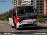 ATL - Associação dos Transportadores de Passageiros por Lotação 246 na cidade de Porto Alegre, Rio Grande do Sul, Brasil, por Mauricio Peres Rodrigues. Número da foto: #8518403.