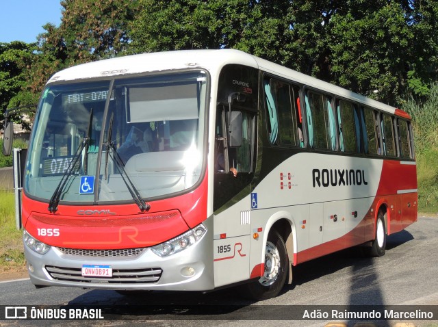Rouxinol 1855 na cidade de Belo Horizonte, Minas Gerais, Brasil, por Adão Raimundo Marcelino. Número da foto: #8609413.