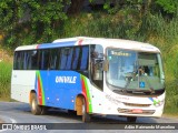 Univale Transportes F-0200 na cidade de Belo Horizonte, Minas Gerais, Brasil, por Adão Raimundo Marcelino. Número da foto: #8609444.