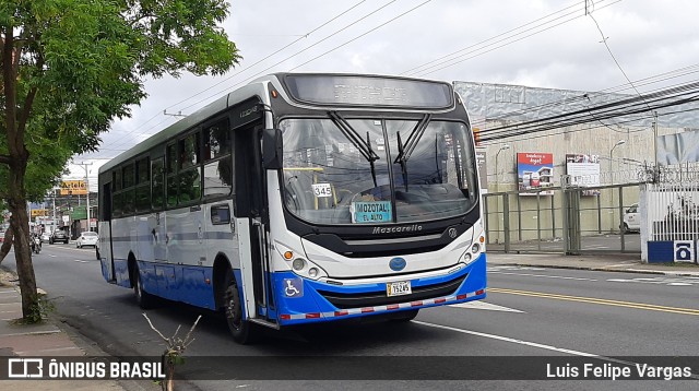 Buses Guadalupe 75 na cidade de Guadalupe, Goicoechea, San José, Costa Rica, por Luis Felipe Vargas. ID da foto: 8609629.