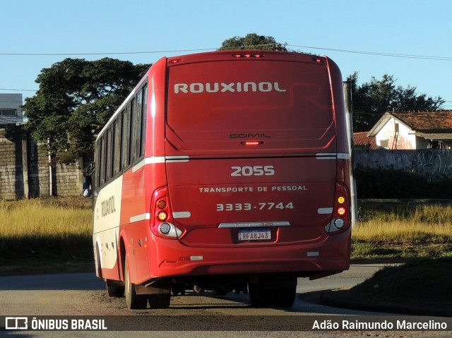 Rouxinol 2055 na cidade de Belo Horizonte, Minas Gerais, Brasil, por Adão Raimundo Marcelino. Número da foto: #8612637.