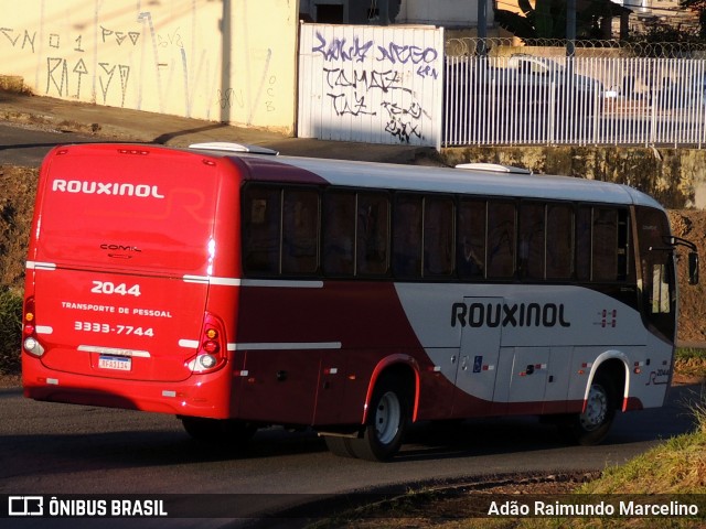 Rouxinol 2044 na cidade de Belo Horizonte, Minas Gerais, Brasil, por Adão Raimundo Marcelino. Número da foto: #8612668.