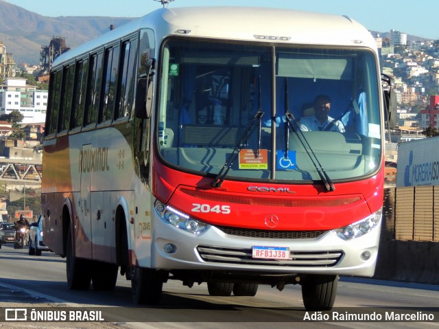 Rouxinol 2045 na cidade de Belo Horizonte, Minas Gerais, Brasil, por Adão Raimundo Marcelino. Número da foto: #8612600.