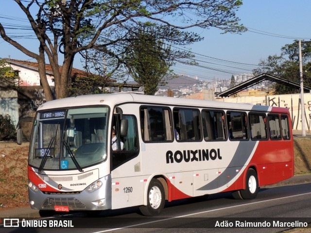 Rouxinol 1260 na cidade de Belo Horizonte, Minas Gerais, Brasil, por Adão Raimundo Marcelino. Número da foto: #8612718.