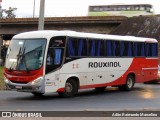Rouxinol 2090 na cidade de Belo Horizonte, Minas Gerais, Brasil, por Adão Raimundo Marcelino. Número da foto: #8612579.