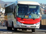 Rouxinol 2045 na cidade de Belo Horizonte, Minas Gerais, Brasil, por Adão Raimundo Marcelino. Número da foto: #8612600.
