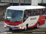 Rouxinol 1677 na cidade de Belo Horizonte, Minas Gerais, Brasil, por Adão Raimundo Marcelino. Número da foto: #8612676.