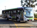 Viação Garcia 8095 na cidade de Londrina, Paraná, Brasil, por George Miranda. Número da foto: #8611728.