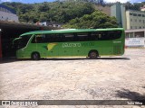 Pássaro Verde 15129 na cidade de Viçosa, Minas Gerais, Brasil, por Tulio Silva. Número da foto: #:id.