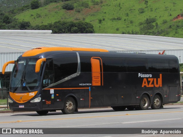 Pássaro Azul 2040 na cidade de Conselheiro Lafaiete, Minas Gerais, Brasil, por Rodrigo  Aparecido. ID da foto: 8520454.