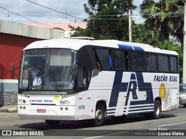 Falcão Real 1170 na cidade de Feira de Santana, Bahia, Brasil, por Lucas Vieira. Número da foto: #8521881.