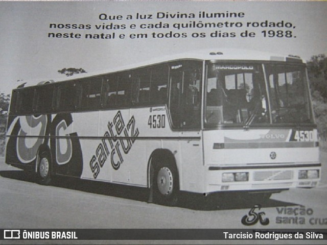 Viação Santa Cruz 4530 na cidade de Mogi Mirim, São Paulo, Brasil, por Tarcisio Rodrigues da Silva. Número da foto: #8519413.