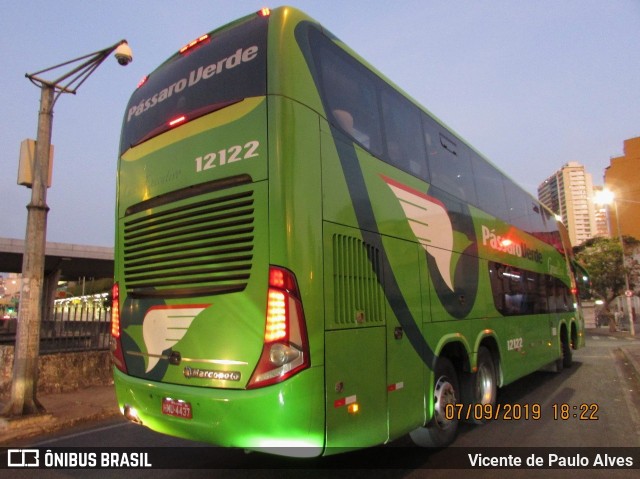 Pássaro Verde 12122 na cidade de Belo Horizonte, Minas Gerais, Brasil, por Vicente de Paulo Alves. Número da foto: #8519249.