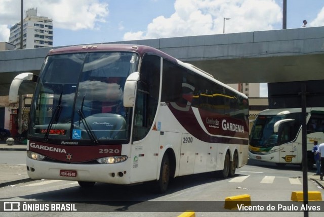 Expresso Gardenia 2920 na cidade de Belo Horizonte, Minas Gerais, Brasil, por Vicente de Paulo Alves. Número da foto: #8534059.