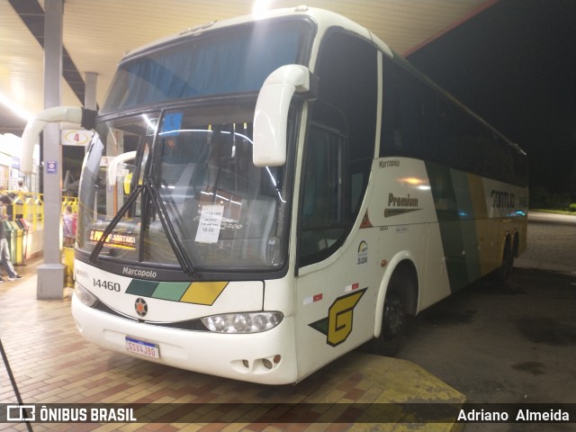 Empresa Gontijo de Transportes 14460 na cidade de João Monlevade, Minas Gerais, Brasil, por Adriano  Almeida. Número da foto: #8534630.